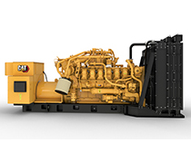 Natural gas generator
